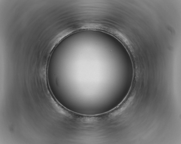 X0000110921041200906181404
