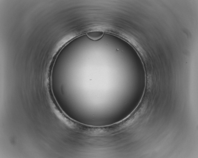 X0000110921042200906181404