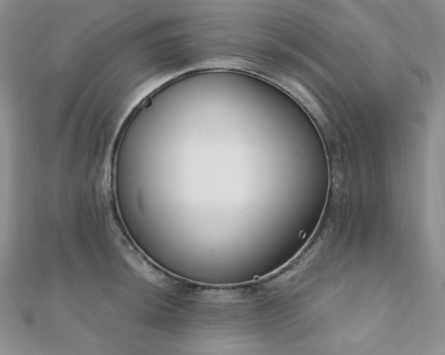X0000110921044200906181404