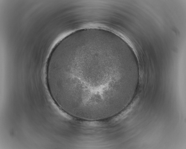 X0000110921045200906181404