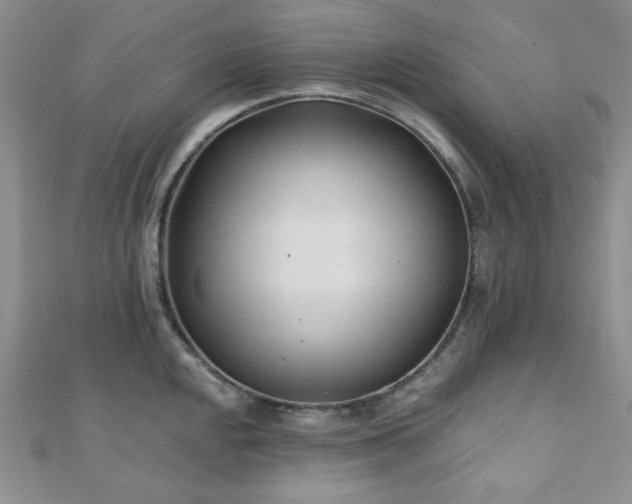 X0000110921048200906181404