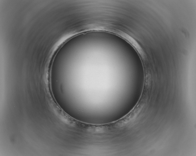 X0000110921051200906181405