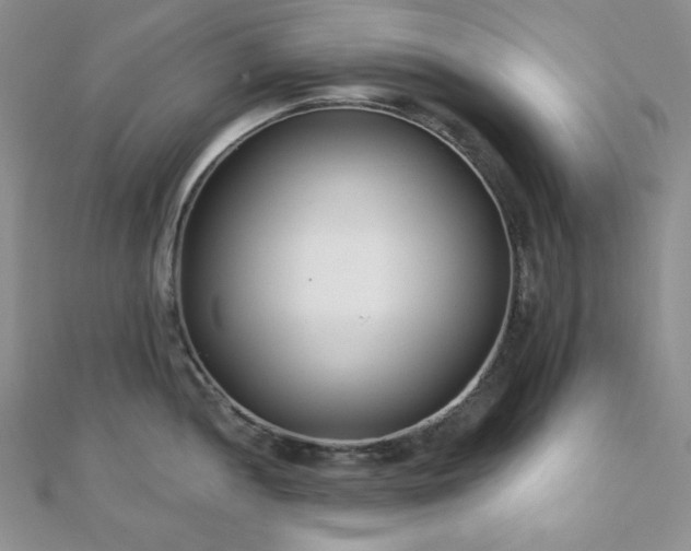 X0000110921052200906181405