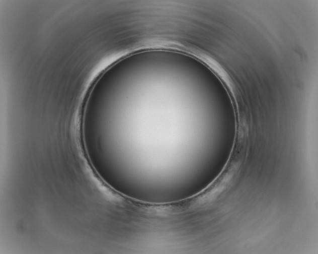 X0000110921053200906181405