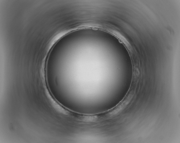 X0000110921055200906181405