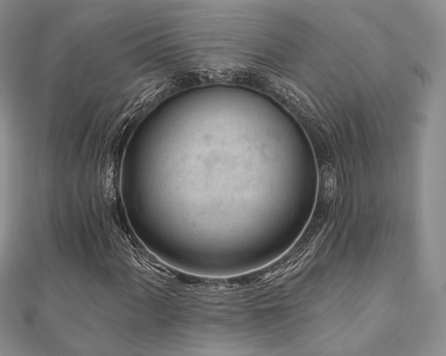 X0000110921060200906181404
