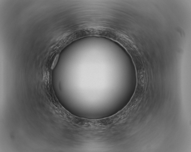 X0000110921061200906181404
