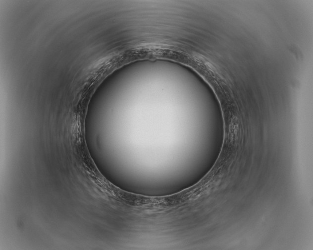 X0000110921062200906181404