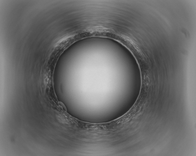 X0000110921063200906181404