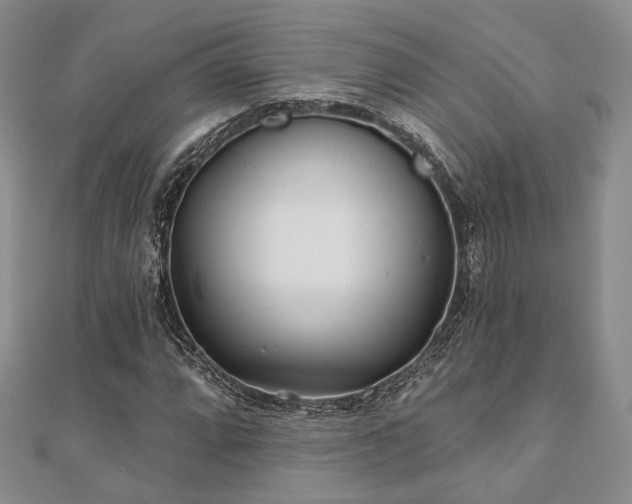 X0000110921064200906181404