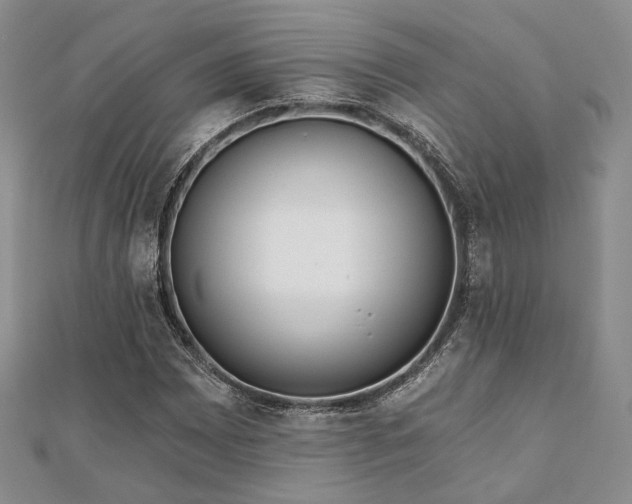 X0000110921065200906181404