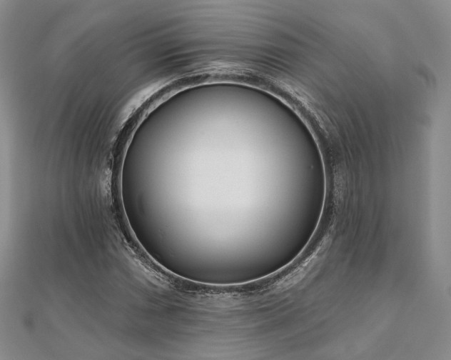 X0000110921066200906181404