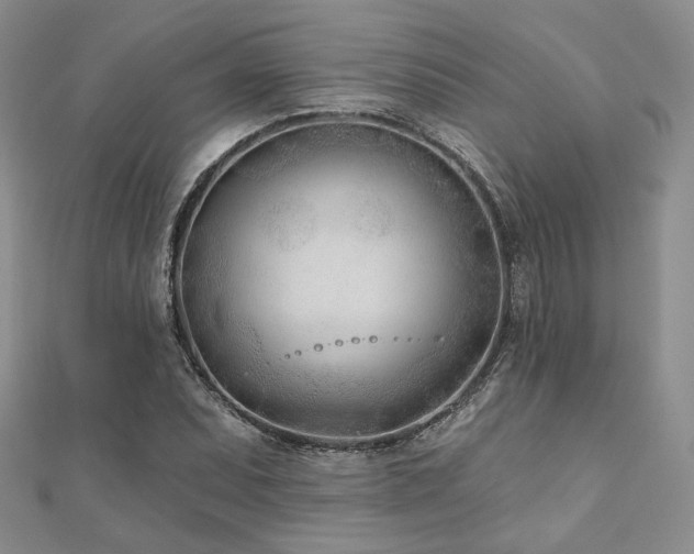 X0000110921071200906181404