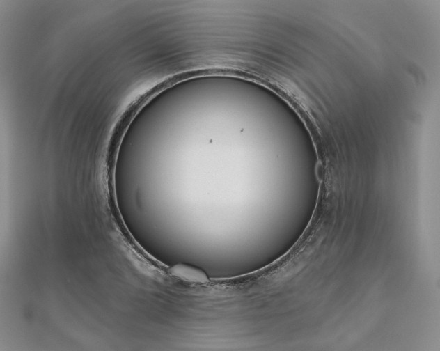 X0000110921072200906181404