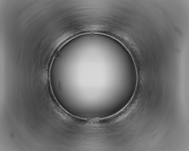 X0000110921073200906181404
