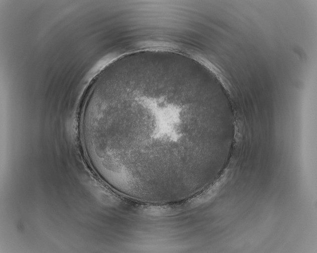 X0000110921074200906181404