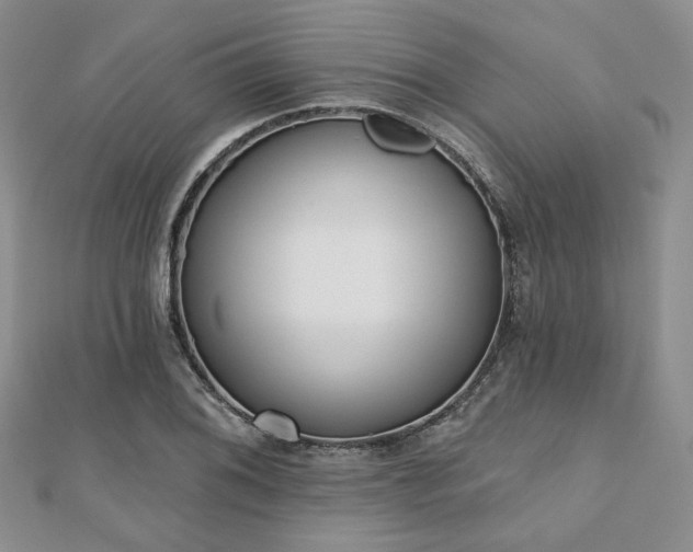 X0000110921076200906181404