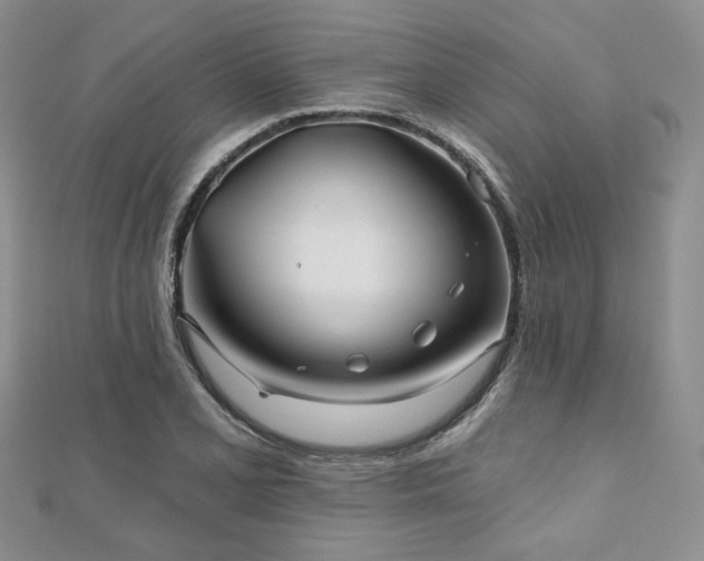 X0000110921077200906181404
