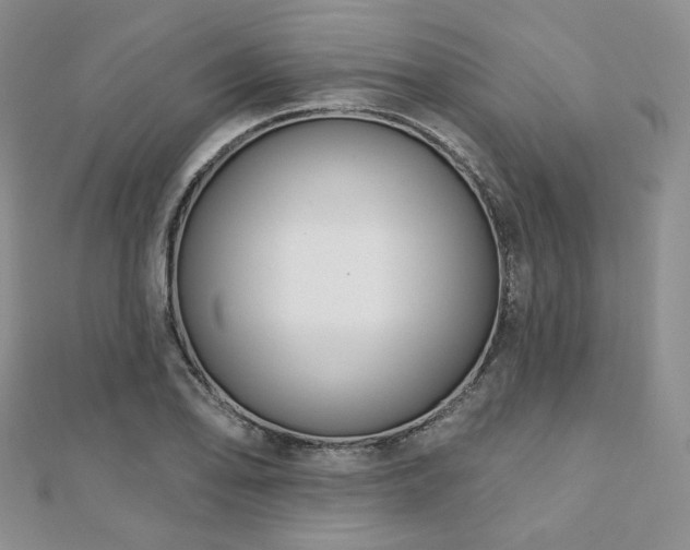 X0000110921078200906181404