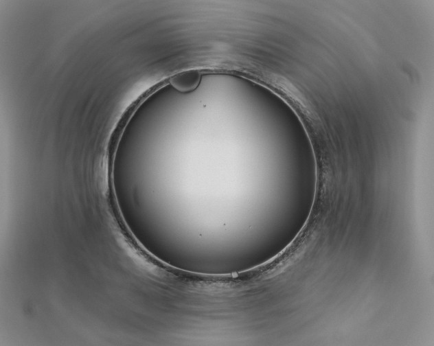 X0000110921079200906181404