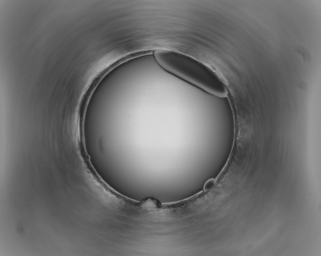 X0000110921080200906181404