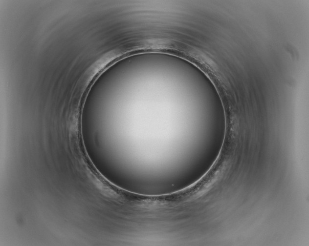 X0000110921081200906181404