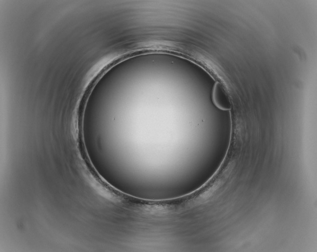 X0000110921082200906181404