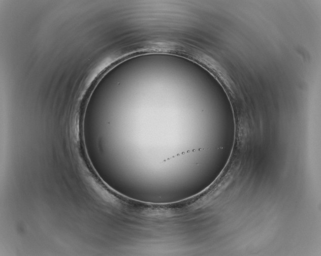 X0000110921083200906181404