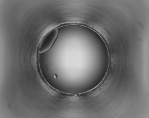 X0000110921085200906181404