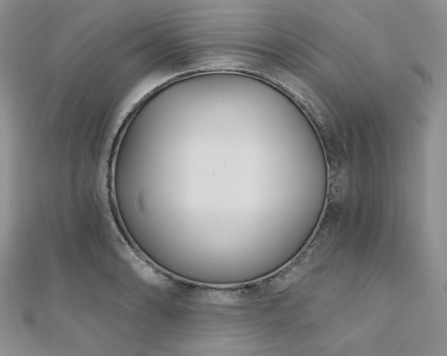 X0000110921086200906181404