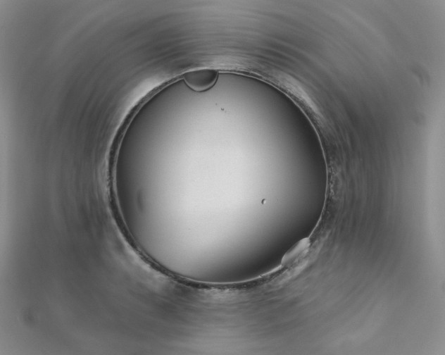 X0000110921087200906181403