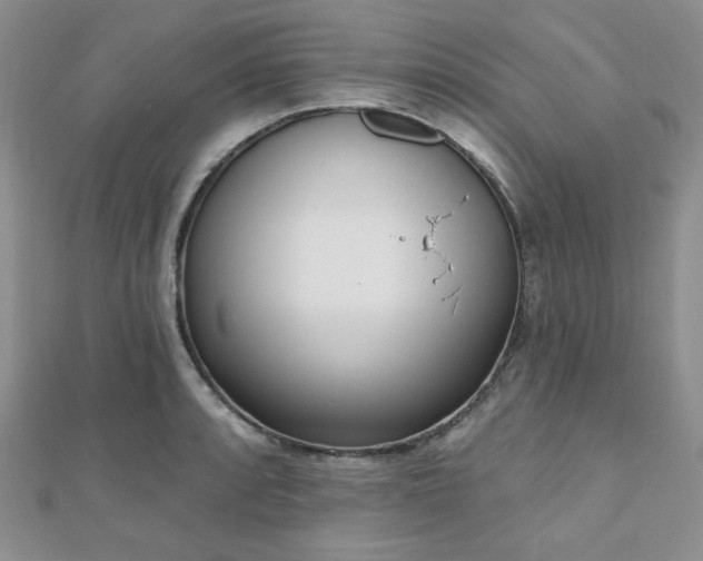 X0000110921088200906181403