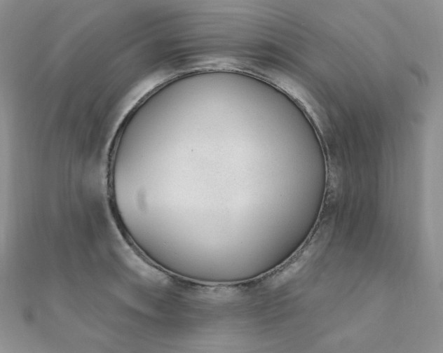 X0000110921090200906181403