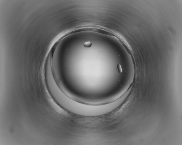 X0000110921098200906181403