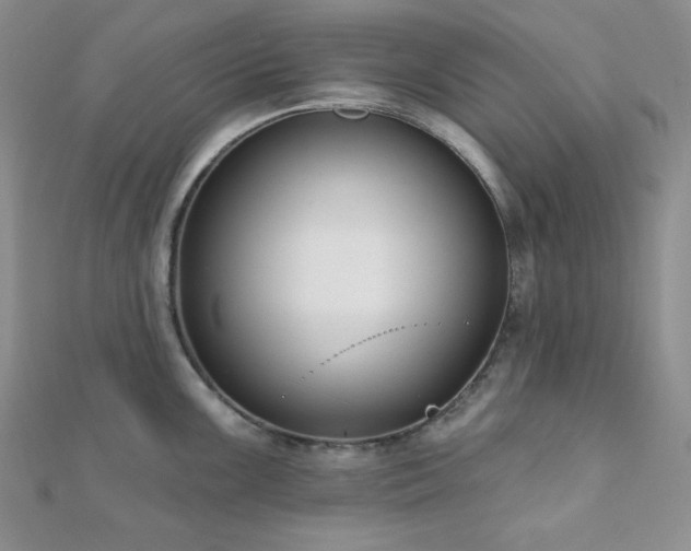 X0000110921099200906181403