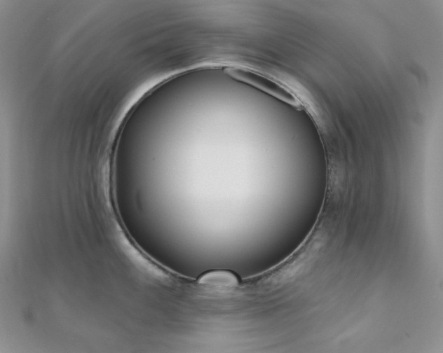 X0000110921100200906181403