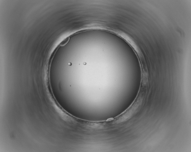 X0000110921101200906181403