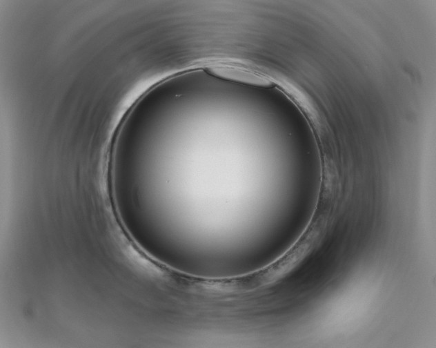 X0000110921102200906181403