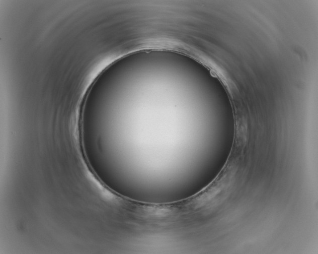 X0000110921103200906181403