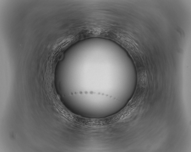 X0000110921105200906181403