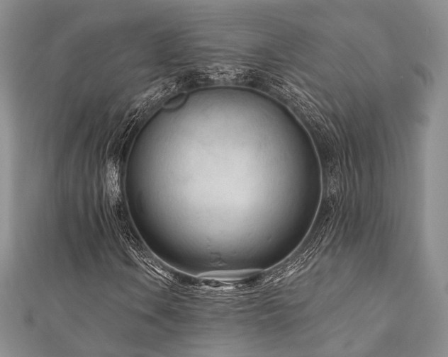 X0000110921106200906181403