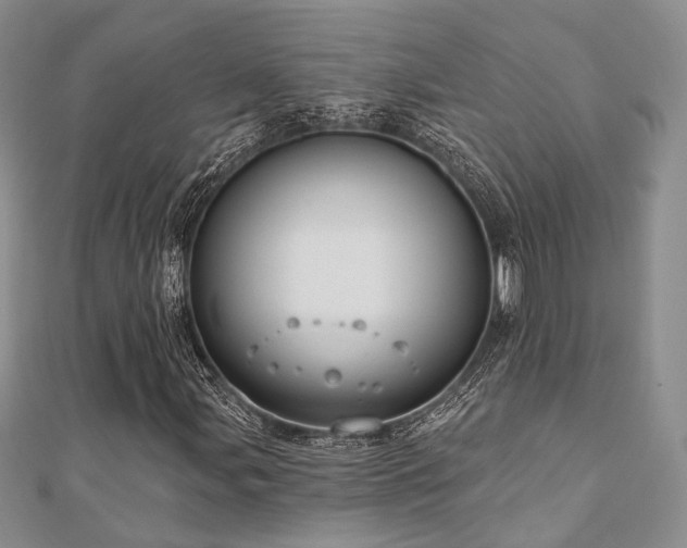 X0000110921107200906181403
