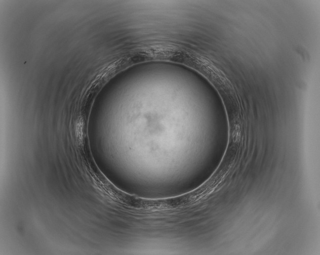 X0000110921108200906181403