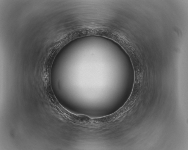 X0000110921109200906181403