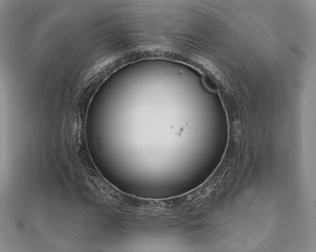 X0000110921111200906181403