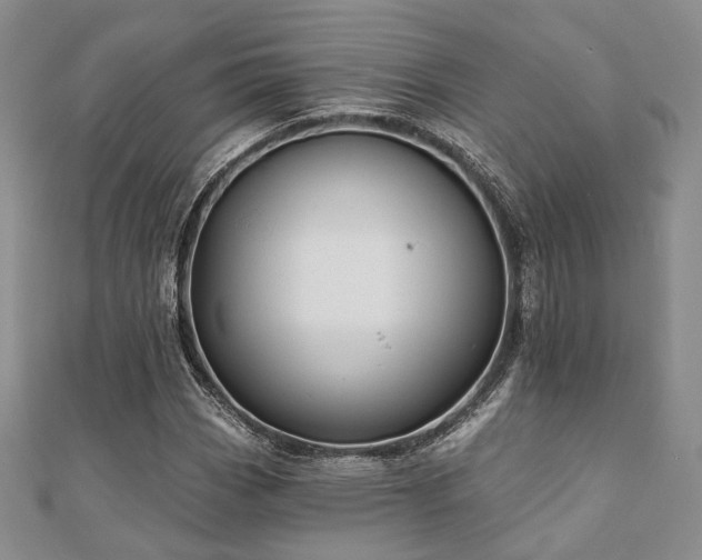 X0000110921113200906181403