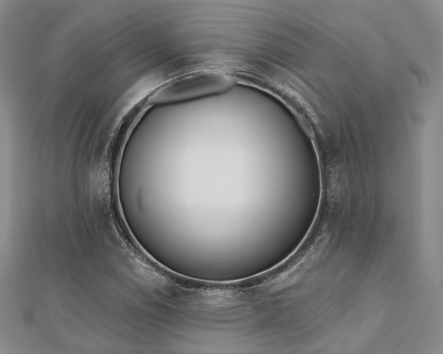 X0000110921114200906181403