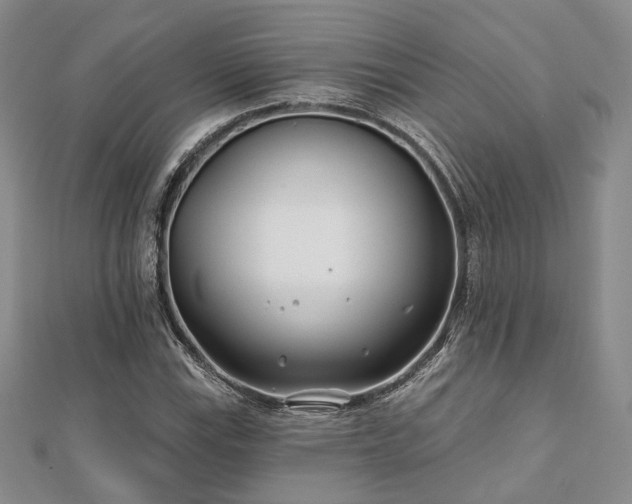 X0000110921115200906181403
