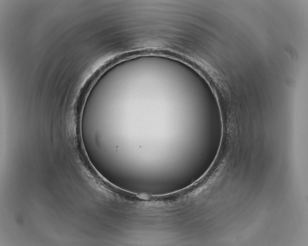 X0000110921118200906181403