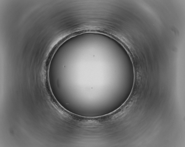 X0000110921119200906181403